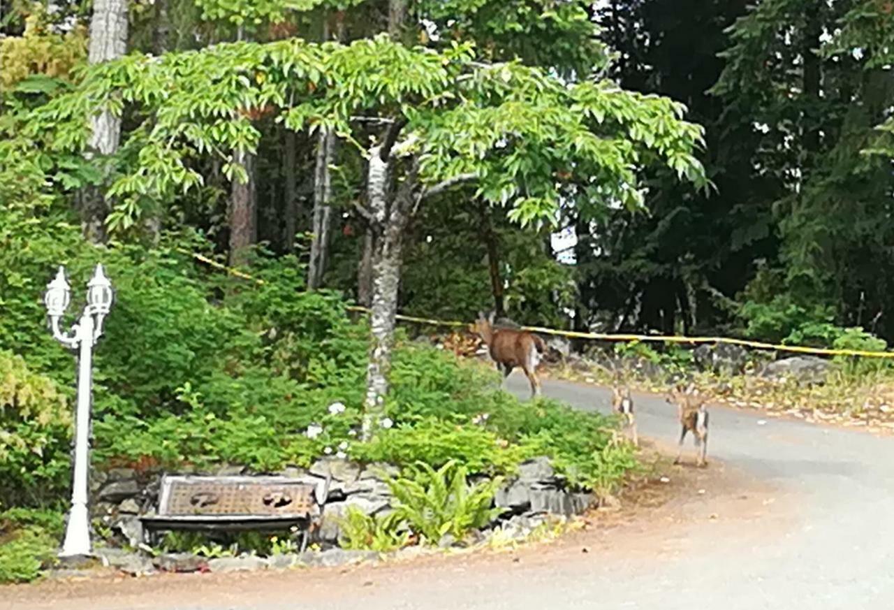 Vancouver Island Castle Cove Inn 